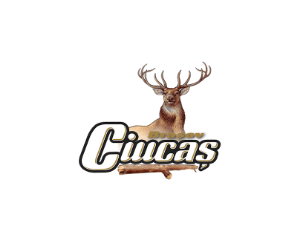 Ciucas logo