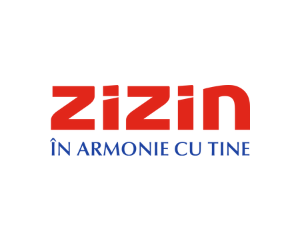 Zizin logo